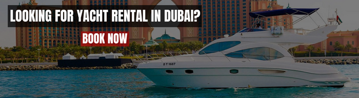 ارقام التواصل