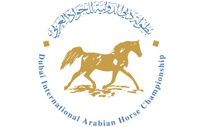 بطولة دبي الدولية لجمال الخيل العربية الأصيلة