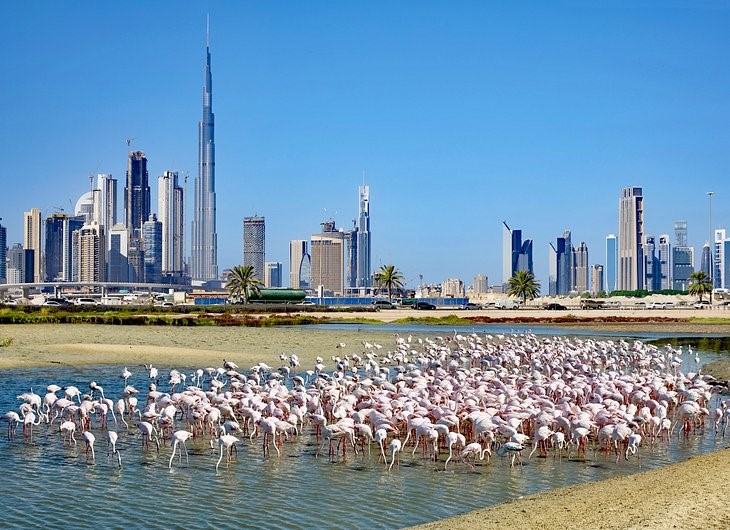 Private sightseeing visit Luxury things to do in dubai