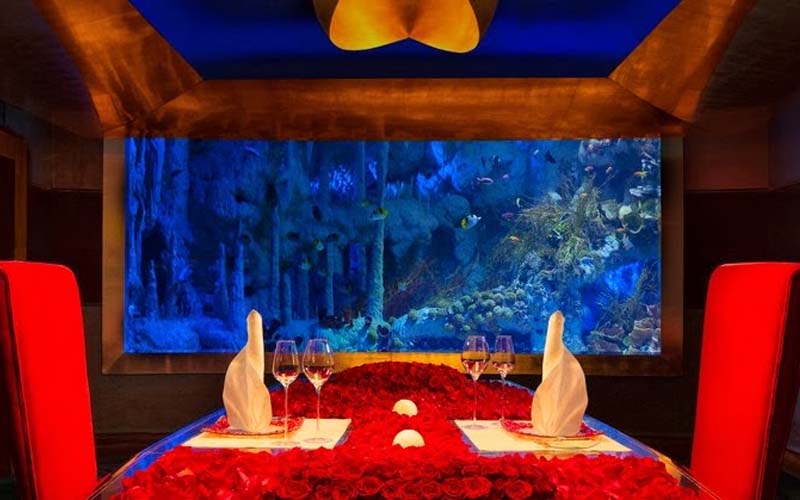 Best Places for Candle Light Dinner in Dubai Mala Yachts