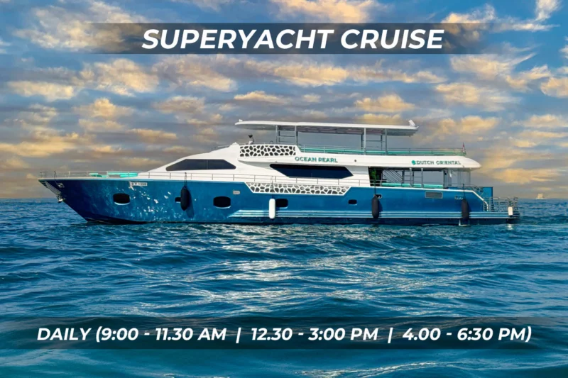 Super Yacht Sightseeing Cruise